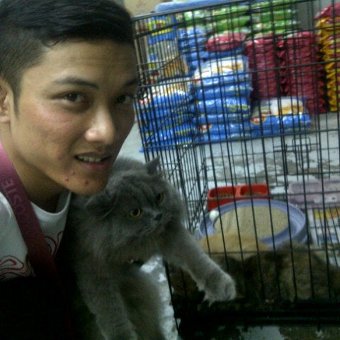 Pusat Pengurusan Penjagaan Kucing Ikhlas Kuala Lumpur Federal Territory Of Kuala Lum