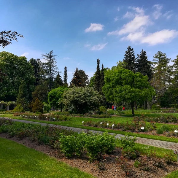 Снимок сделан в Botanická záhrada UK пользователем Kubes 4/28/2018
