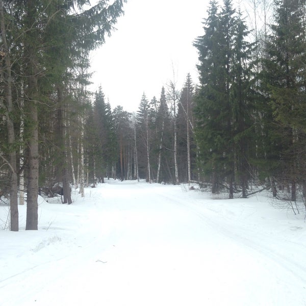 Лыжная база Ковылкино