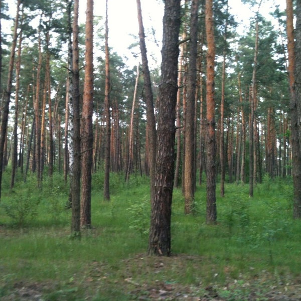 Две поляны. Две поляны