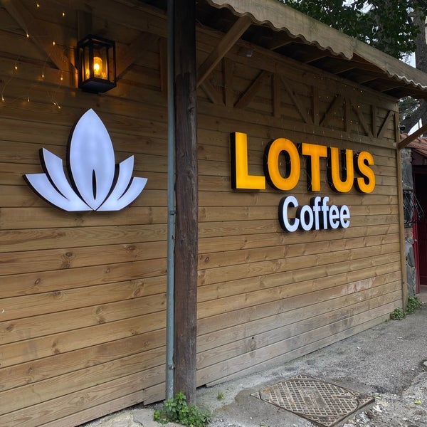 Лотос тайны кофейной гущи и воска. Красивые лотос и кофе. Гадание на кофе фото. Lotus кофейные чашки. Лотос - тайны кофейной гущи и воска фото.