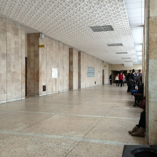 Мирэа на соколиной горе