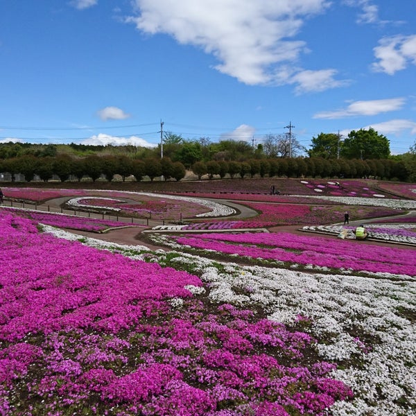みさと芝桜公園 箕郷町松之沢12 1 みさと芝桜公園 箕郷町松之沢12 1