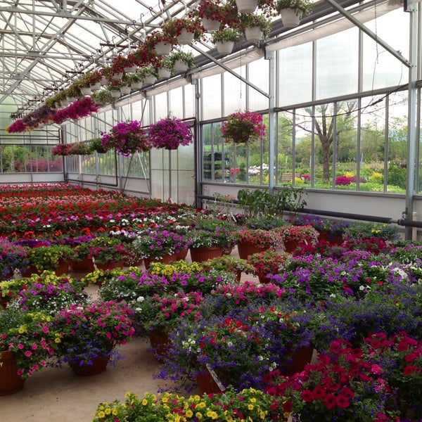 Nursery Garden Интернет Магазин Растений
