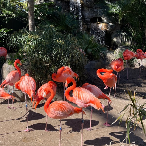 Photo taken at Audubon Zoo by Melissa M. on 2/6/2022