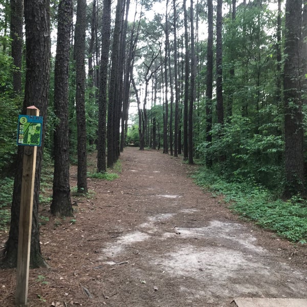 Pelahatchie Shore Park Brandon, MS