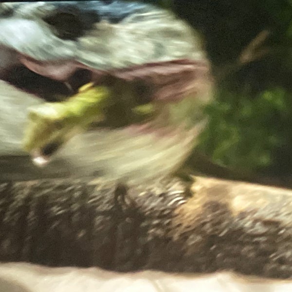 Cinemark Pearl and XD Movie Theater in Pearl