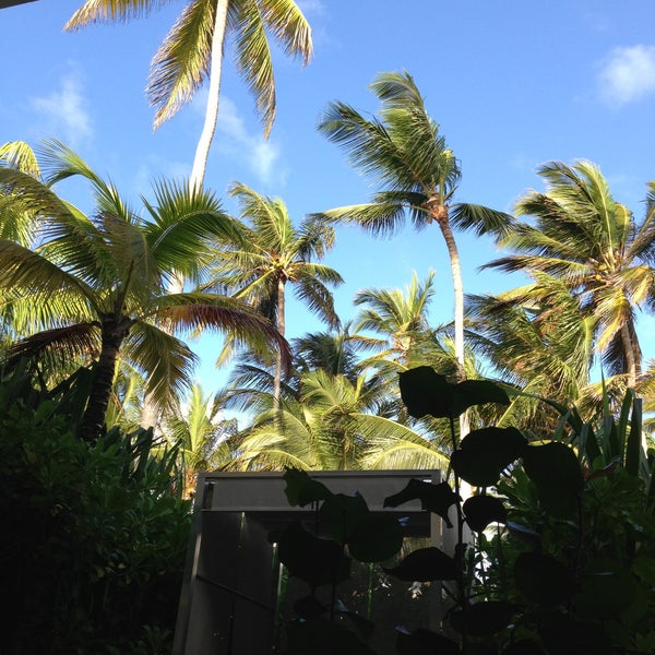 12/14/2013에 Andrew R.님이 Paradisus Punta Cana Resort에서 찍은 사진