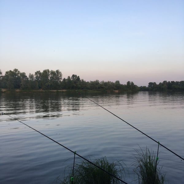 Десна 9. Грелка электрическая десна-7-с клеенка-синтепон 43х47. Десна 9. Десна 9. Тепло-люкс электрогрелка десна-2-с.