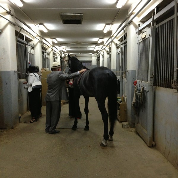 Прадар конный клуб