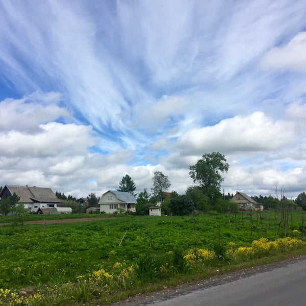 Подслушано рабитицы