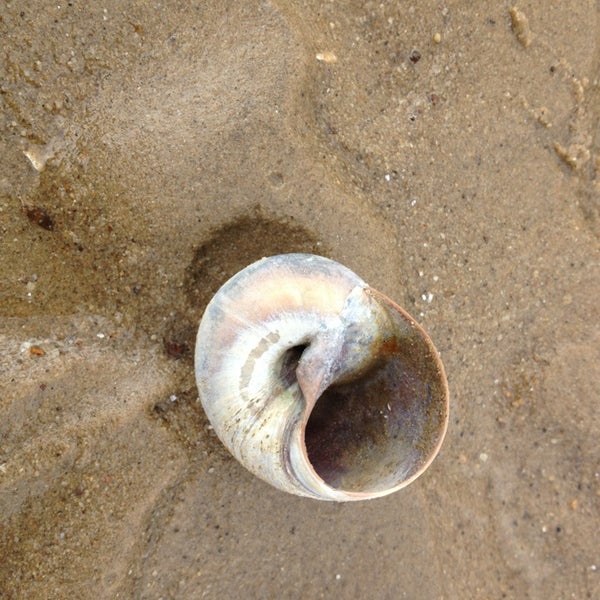 Photos at Cliffwood Beach Waterfront Park & Beach Cliffwood Beach