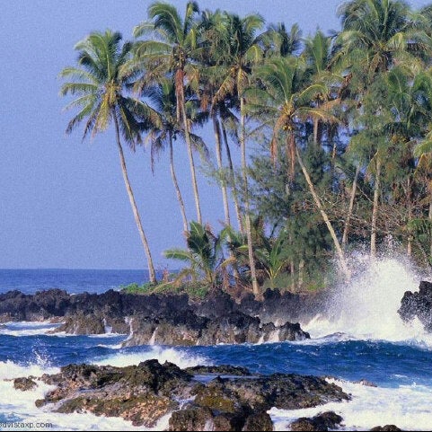 Photos At Pantai Selatan Cipatujah Tasikmalaya Jawa Barat