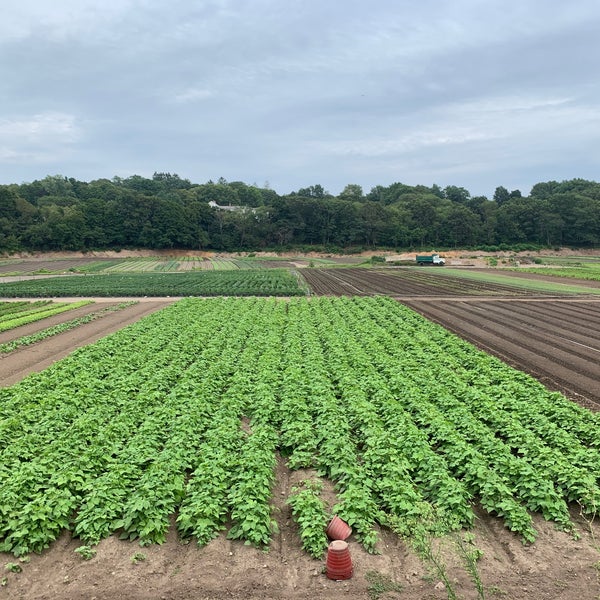 Foto diambil di Wilson Farm oleh R pada 8/13/2019