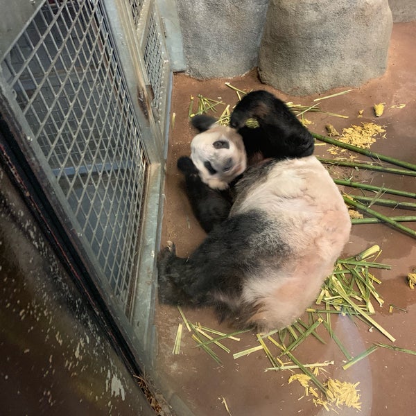 Foto diambil di Memphis Zoo oleh Yunhua Z. pada 1/1/2019