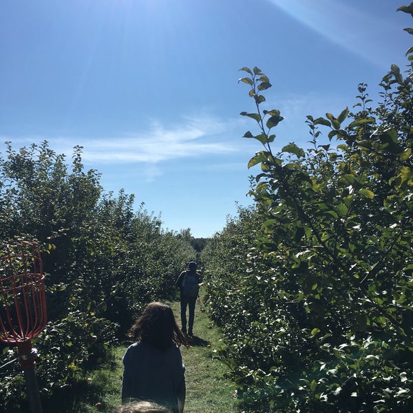 10/9/2016에 Ileana I.님이 All Seasons Orchard에서 찍은 사진