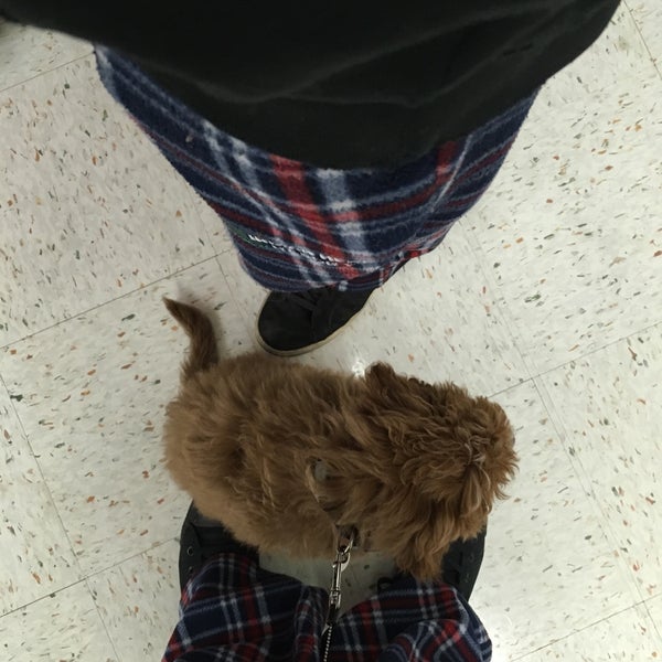 Petco Pet Supplies Store in Nashua