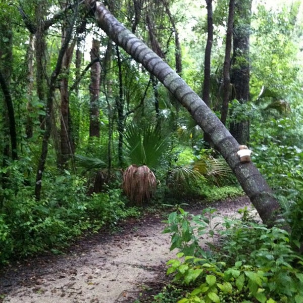 Mead Gardens Winter Park, FL