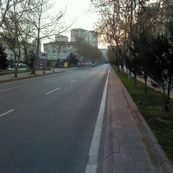 mustafa simsek bulvari 5 tips