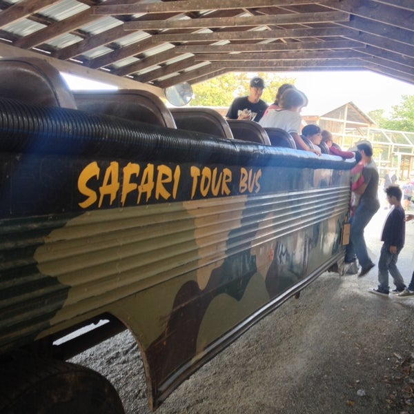 The safari was great! Lots of cool animals that come right up, and sometimes in, to the bus!!