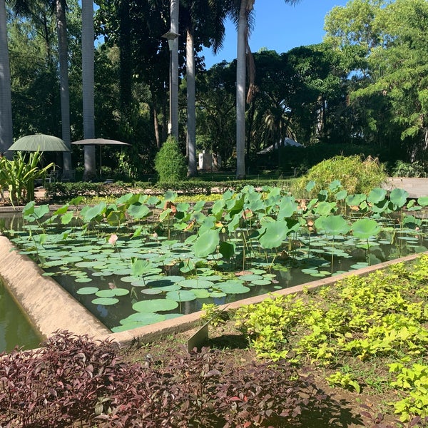 รูปภาพถ่ายที่ Jardín Botánico Culiacán โดย Miriam R. เมื่อ 11/12/2018