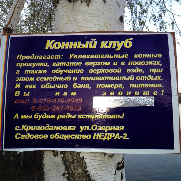 кимберлитовая трубка мирный. швеция. общество недра. люксембург добыча железной руды. общество недра.