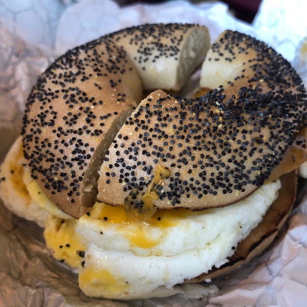 Einstein Bros. Bagels Bagel Shop in Orlando