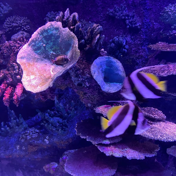 7/8/2023에 Berker P.님이 Antalya Aquarium에서 찍은 사진