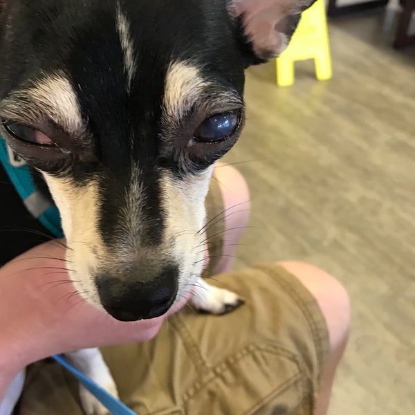 Tampa Bay Veterinary Specialists & Emergency Care Center 5 tips from 209 visitors