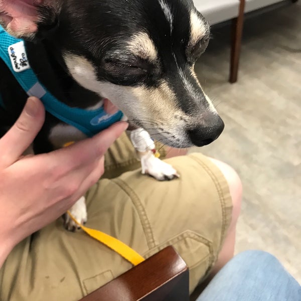 Tampa Bay Veterinary Specialists & Emergency Care Center 5 tips from 209 visitors