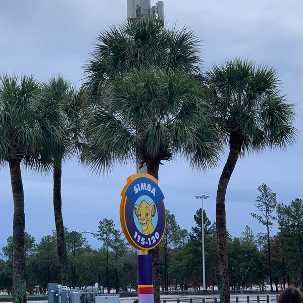 Simba Parking Lot Lake Buena Vista, FL