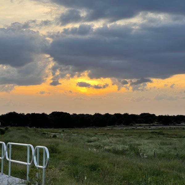 Winter Haven, FL City