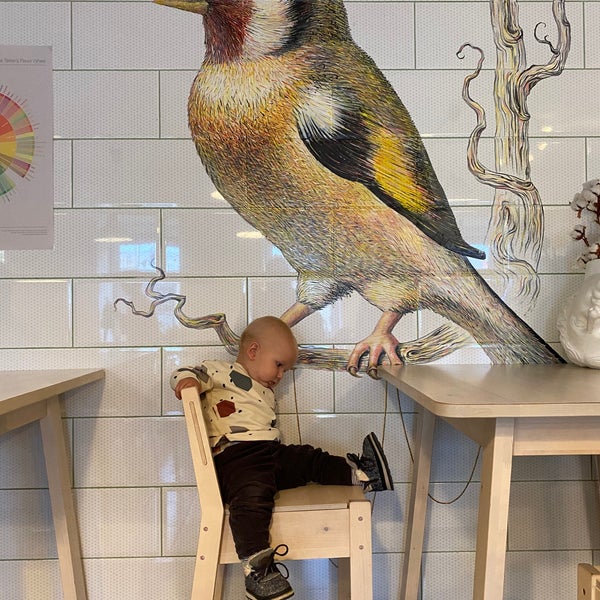 кафе щегол санкт-петербург. кофейня щегол. щегол кофе. щегол кофе. кофейня щегол.