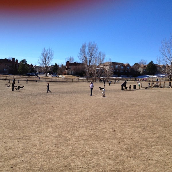 Quincy Reservoir Dog Park Grandview Dog Park Prides Crossing 7 Tips From 215 Visitors