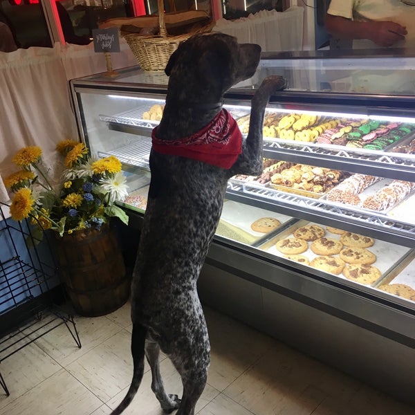 Crust & Crumb Bakery Beach Haven, NJ