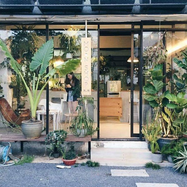 A hidden secret garden in the heart of the city, a nice place for coffee & plant lover. Must try their hand brew coffee!