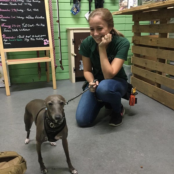 Applause Your Paws Dog Training Miami, FL