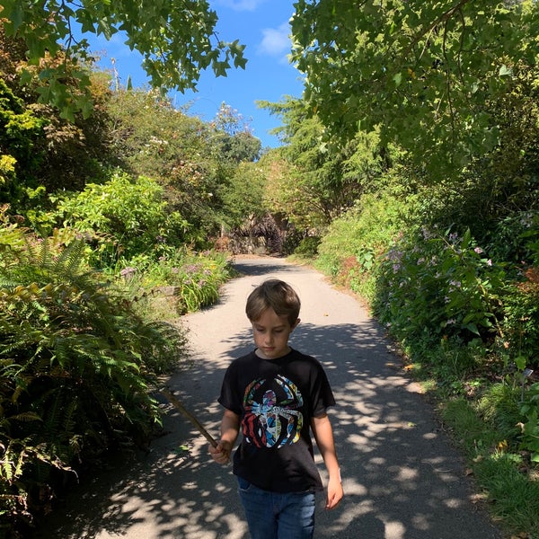 8/6/2022 tarihinde Brandi O.ziyaretçi tarafından San Francisco Botanical Garden'de çekilen fotoğraf