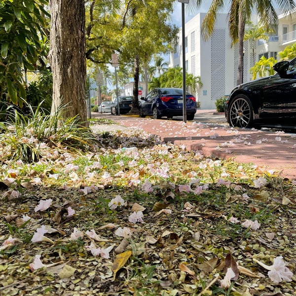 Photo taken at Espanola Way Village by Ahmed on 3/2/2021