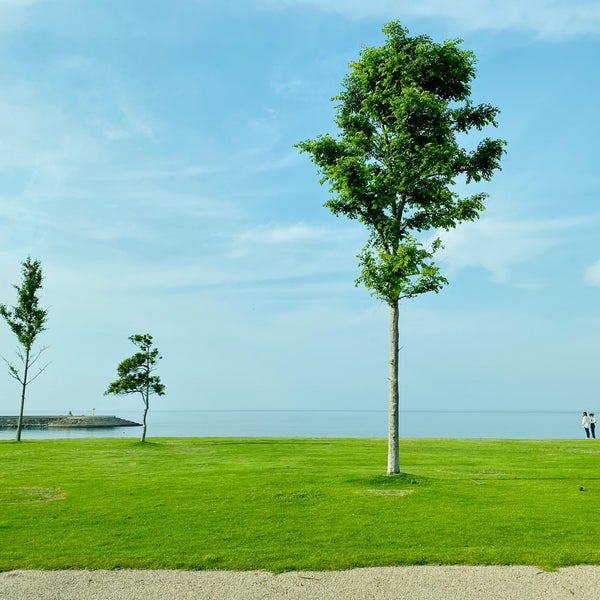 Photos At 海老江海浜公園 射水市 富山県