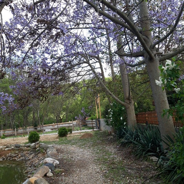 Photos at Ribnik Omorani - 1 tip