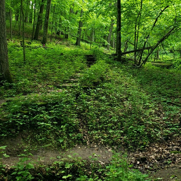 Pinicon Ridge Iowa Pinicon Ridge Park - Central City, IA
