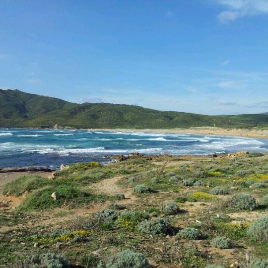 Photos At Spiaggia Di Porto Ferro Beach In Sassari