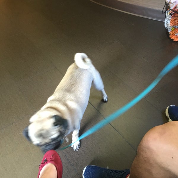 Back Bay Veterinary Clinic Veterinarian in Back Bay West