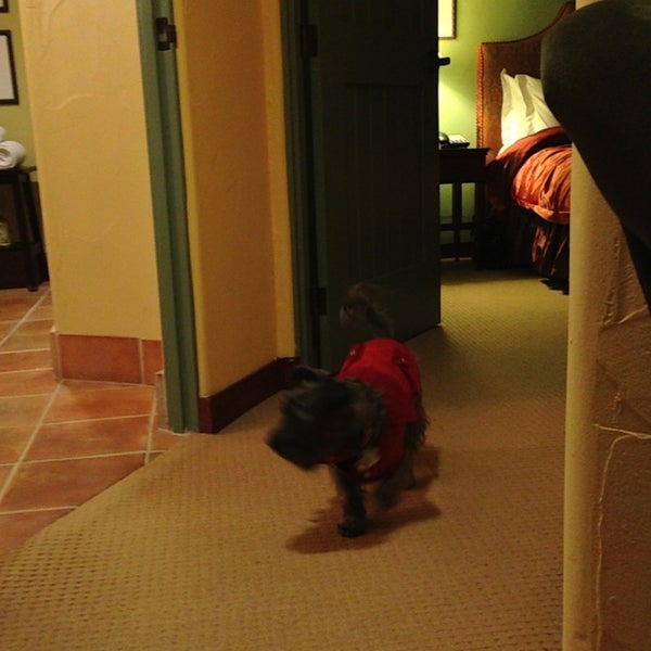 1/20/2013 tarihinde Selene H.ziyaretçi tarafından Hotel Los Gatos'de çekilen fotoğraf