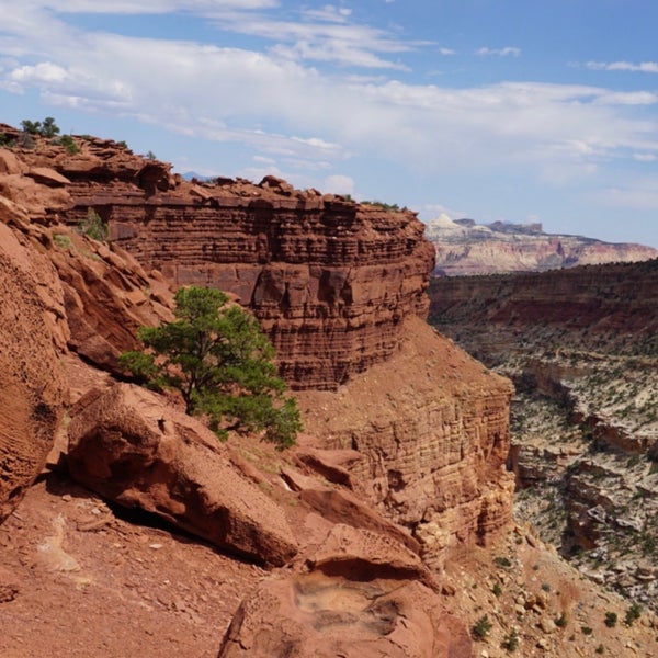 Photo taken at Capitol Reef National Park by Pedro F. on 8/2/2020