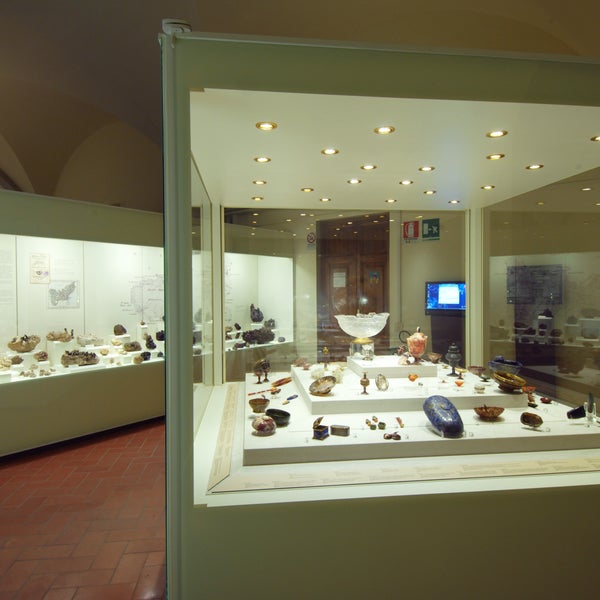 Through its displays the Museum illustrates the history of palaeontology in Italy and the story of Life on Earth.
