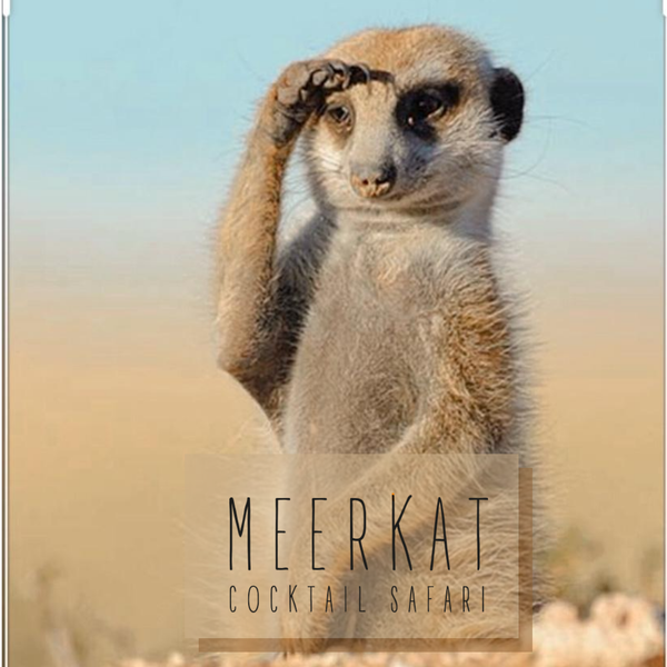 Hey! 👋 Where are you? Still on vacation? #Meerkats will be back to you in a few days! Be ready! 😁😎  #wewillback #countdown #athensbars #cocktailbar #athens #koukaki #meerkatcocktailsafari