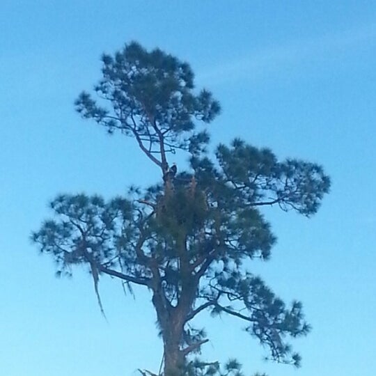 Publix Super Market at Eagle Landing Grocery Store in North Fort Myers