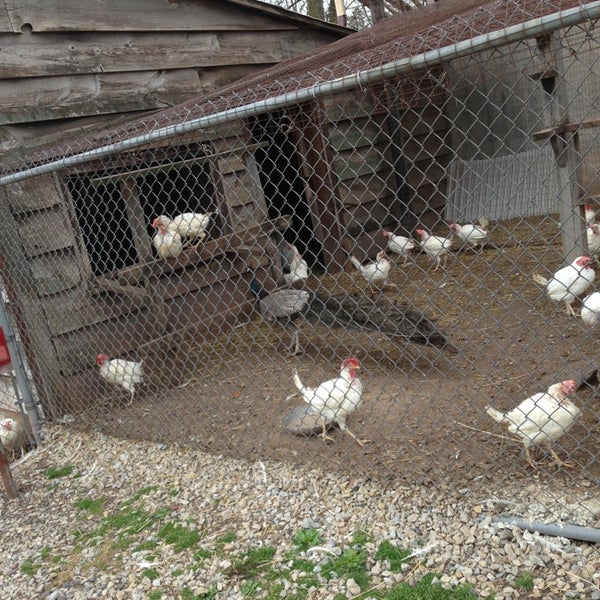Stewart S Bird Farm Harleysville Pa